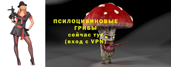 бошки Арсеньев