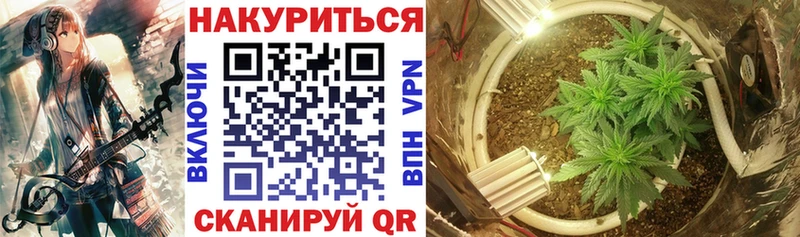 хочу Орлов Шишки марихуана THC 21%